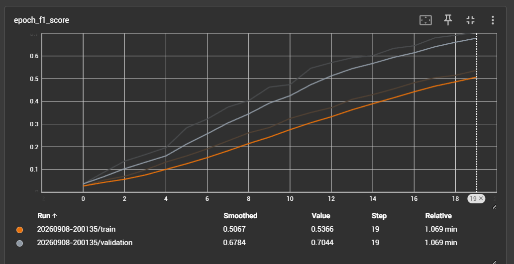 F1 Score